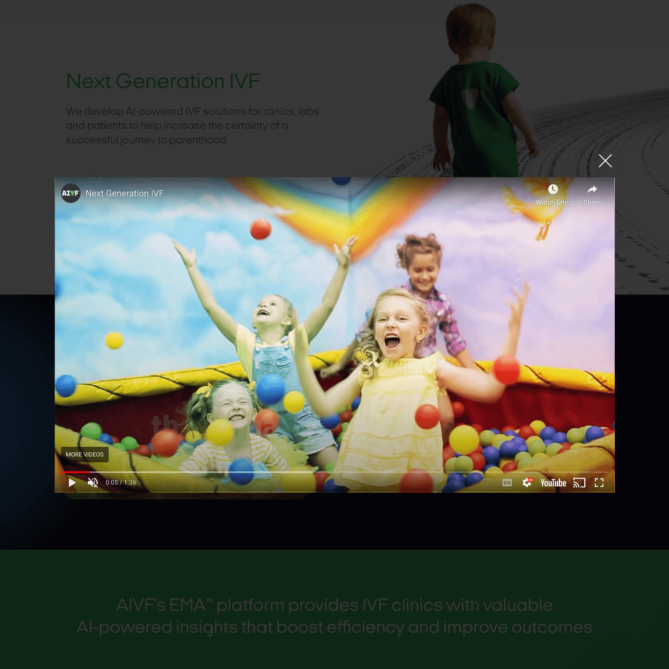 AIVF — project view 1
