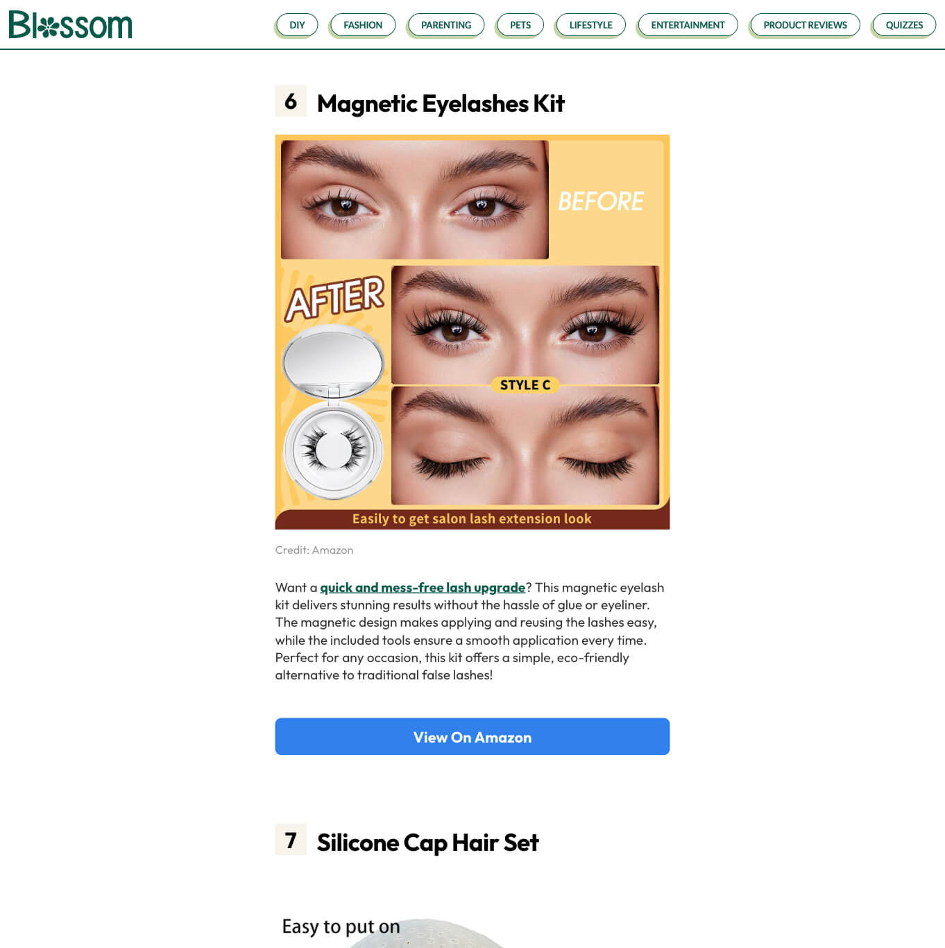 Blossom — project view 5