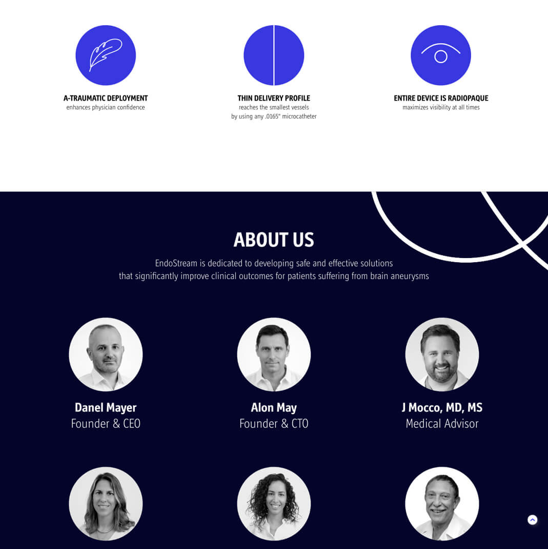 EndoStream — project view 2