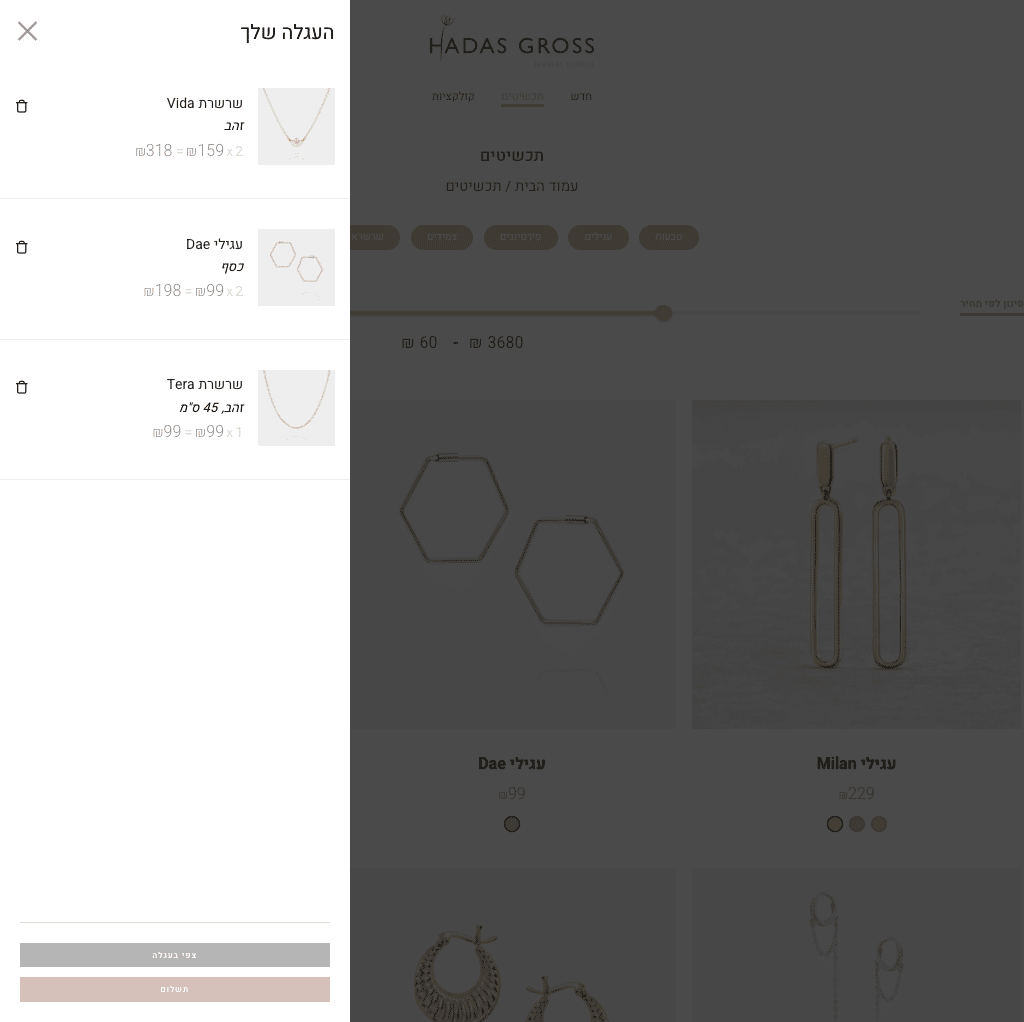 Hadas Gross Jewelry — project view 6