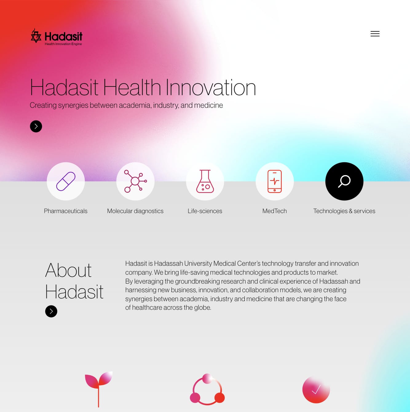 Hadasit — website preview
