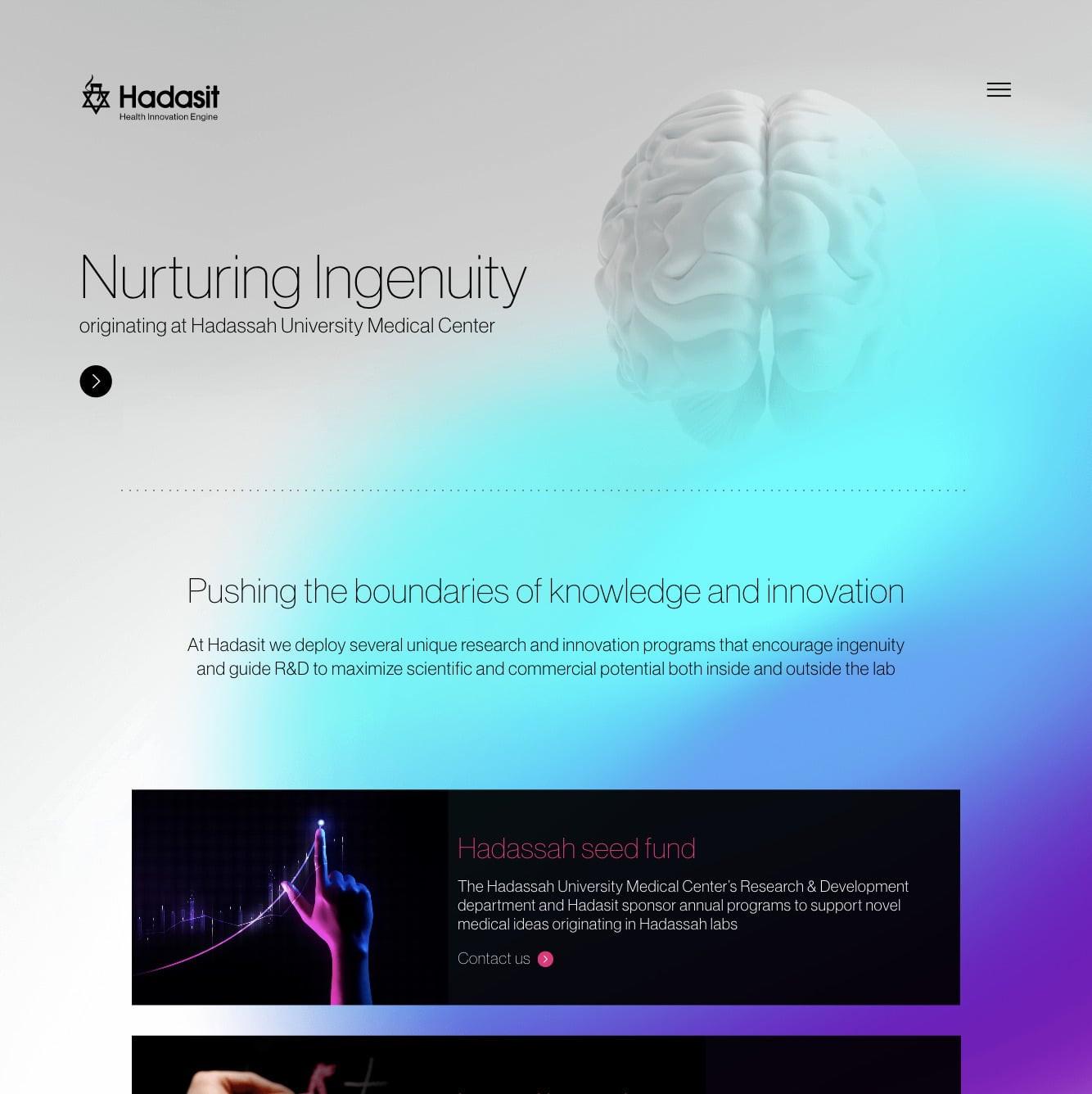 Hadasit — project view 4