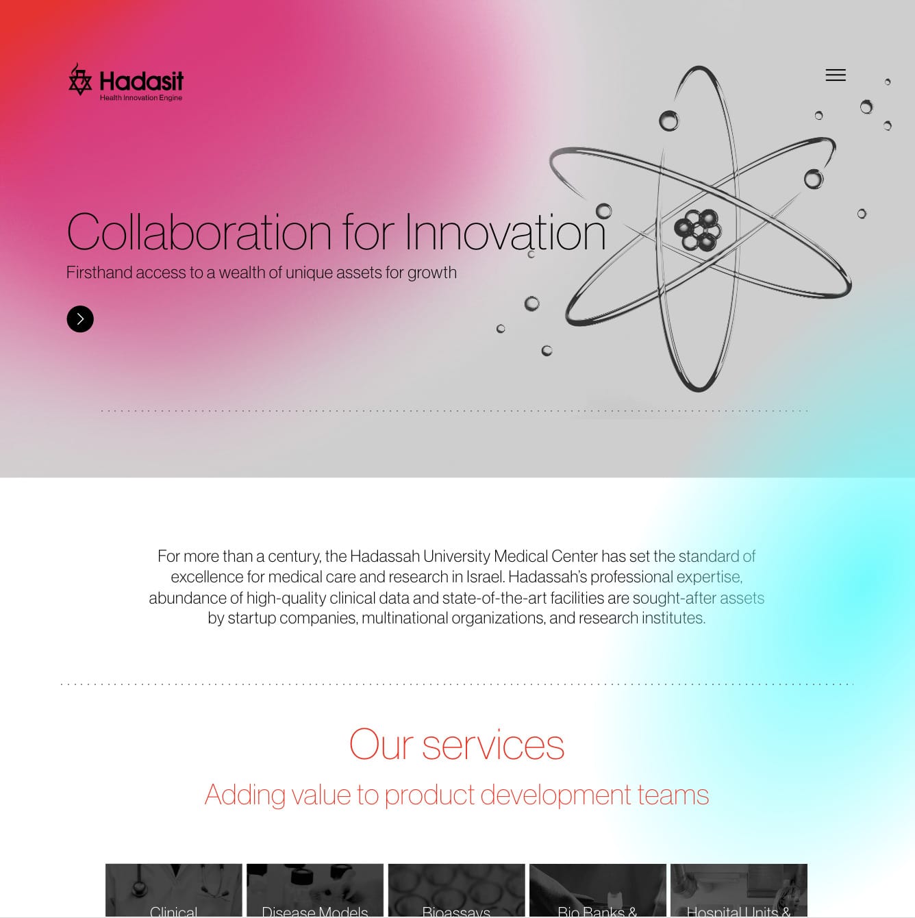 Hadasit — project view 7