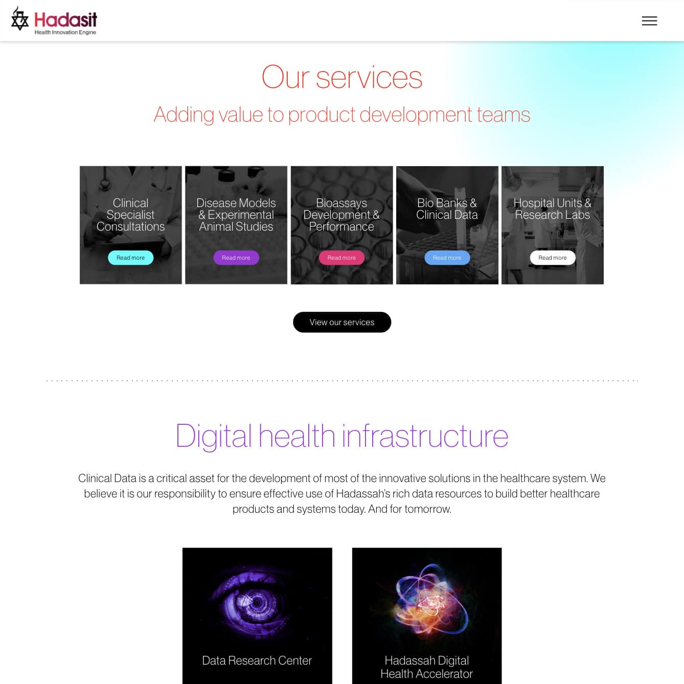 Hadasit — project view 8