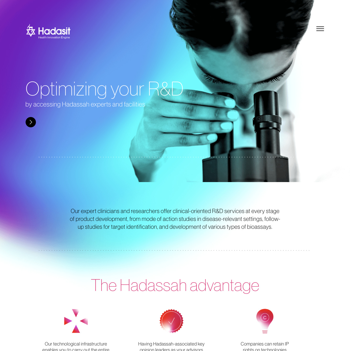Hadasit — project view 10