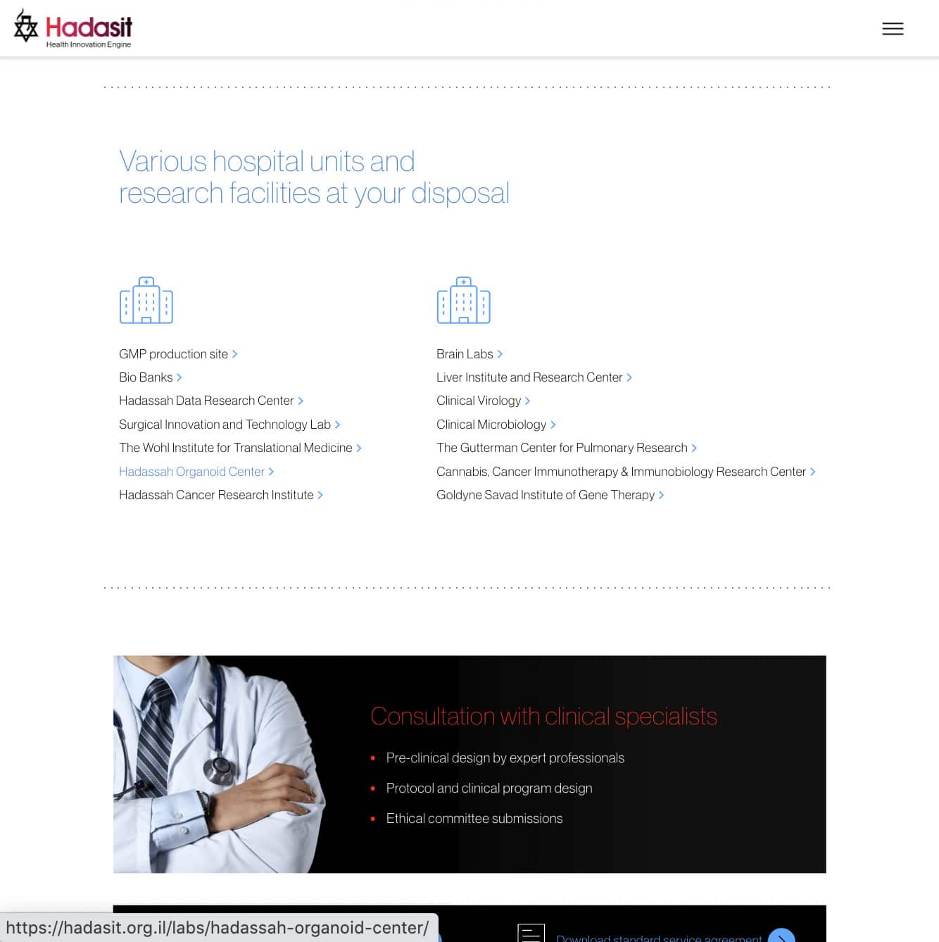 Hadasit — project view 11