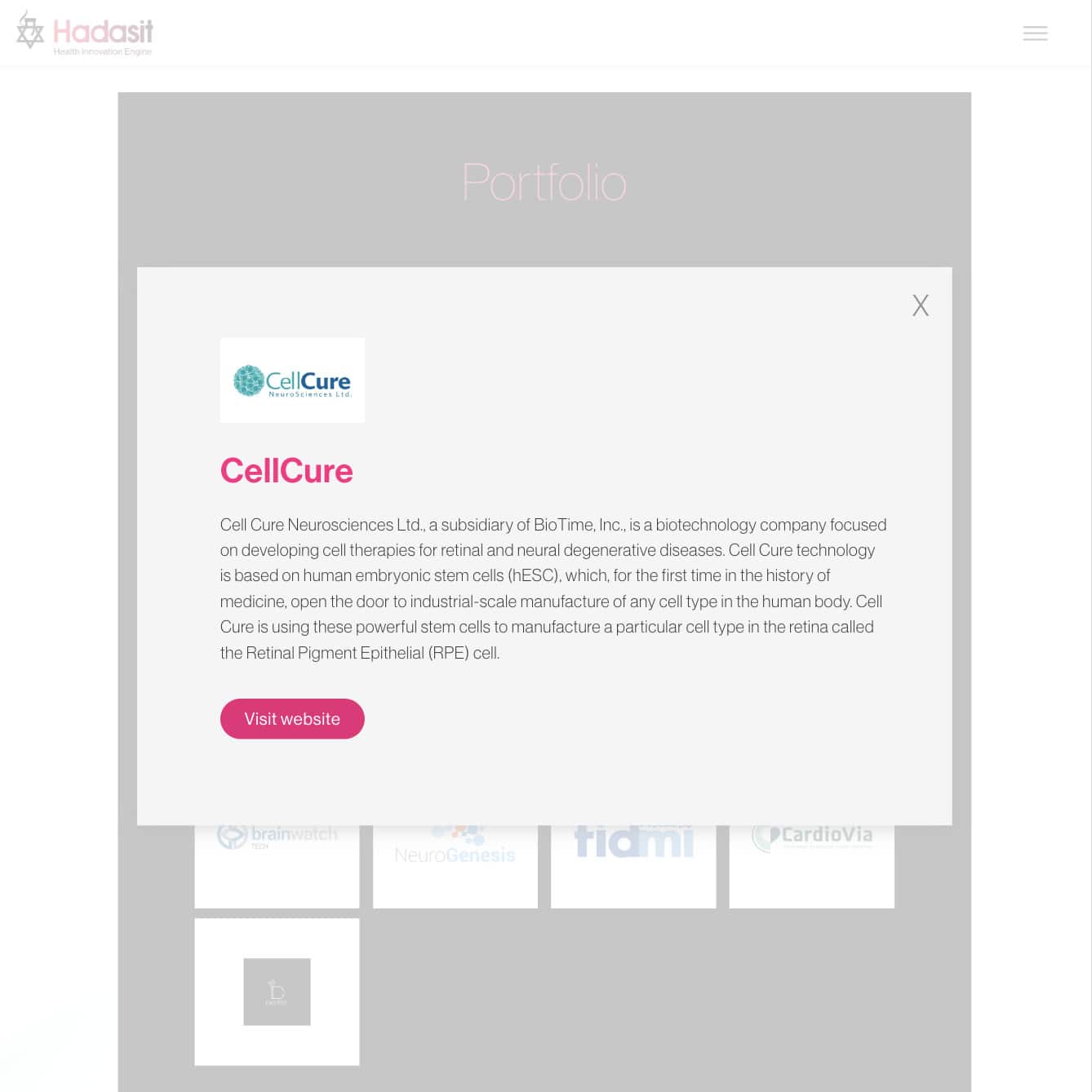 Hadasit — project view 25