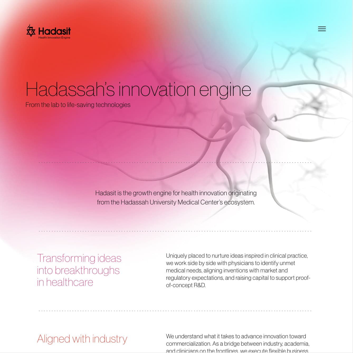 Hadasit — project view 26