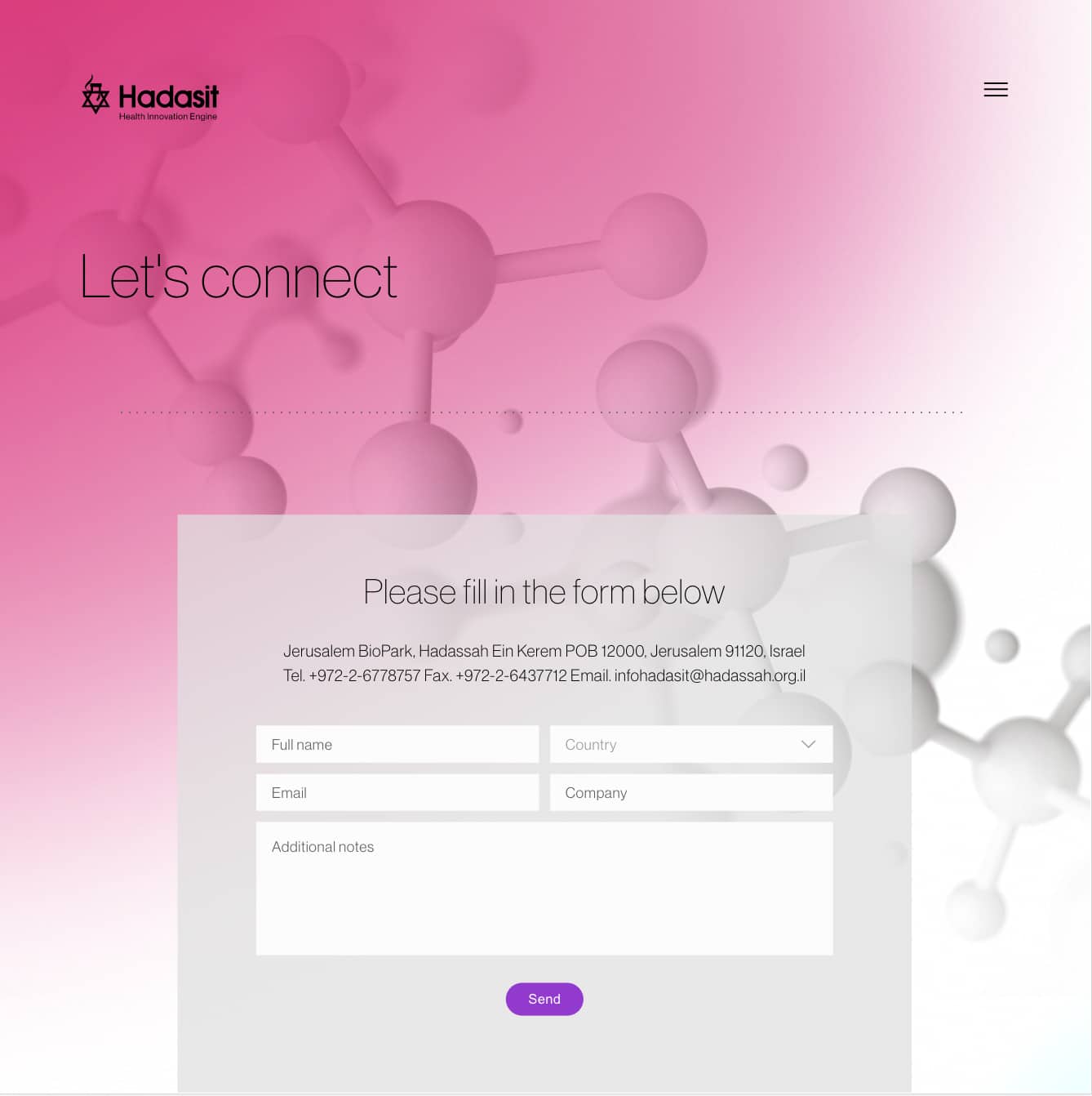 Hadasit — project view 32