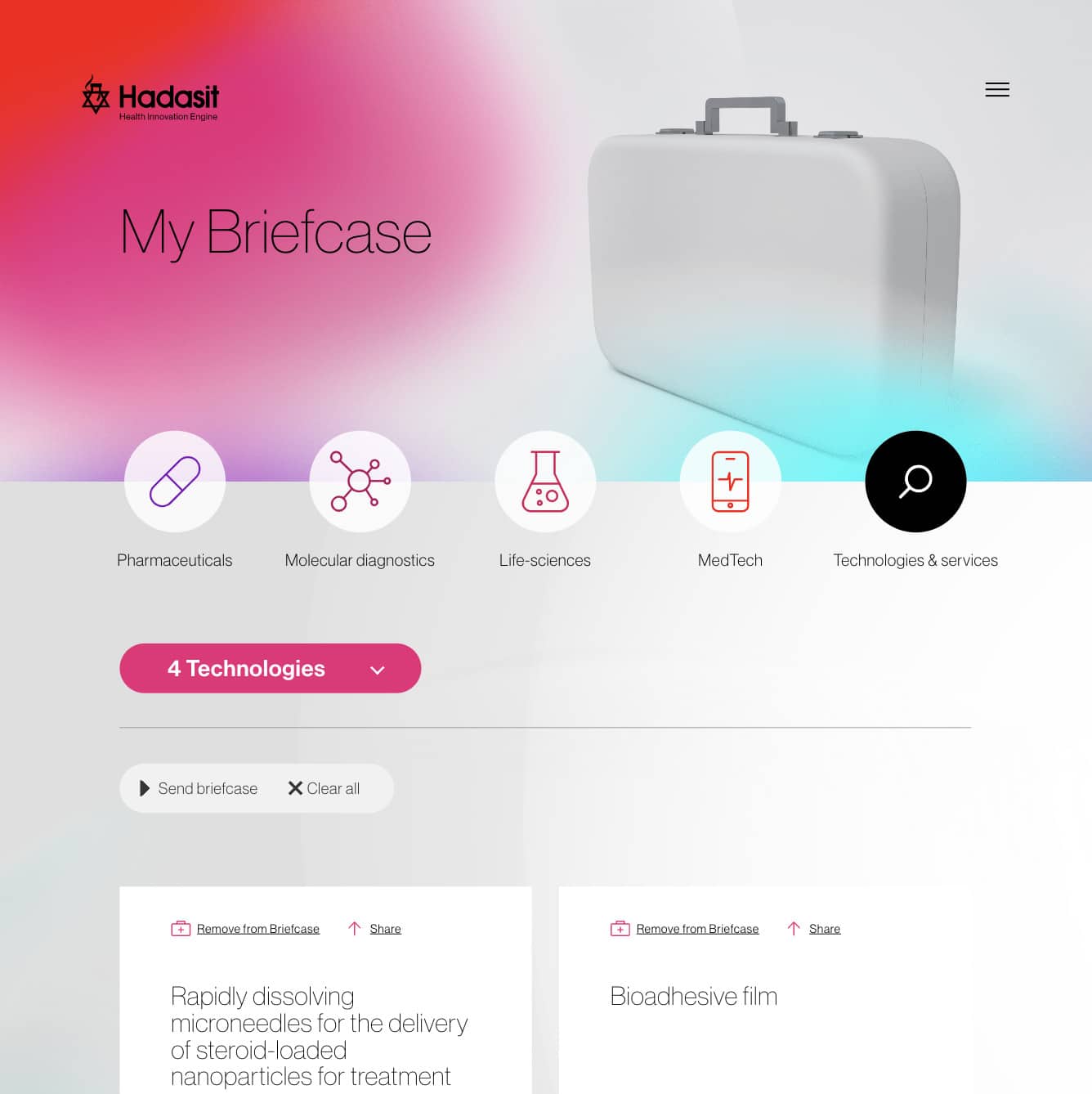 Hadasit — project view 33
