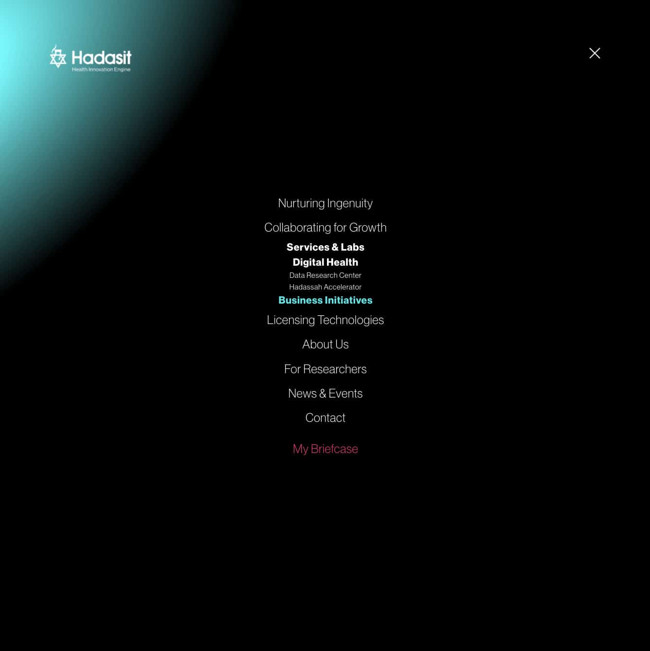 Hadasit — project view 34