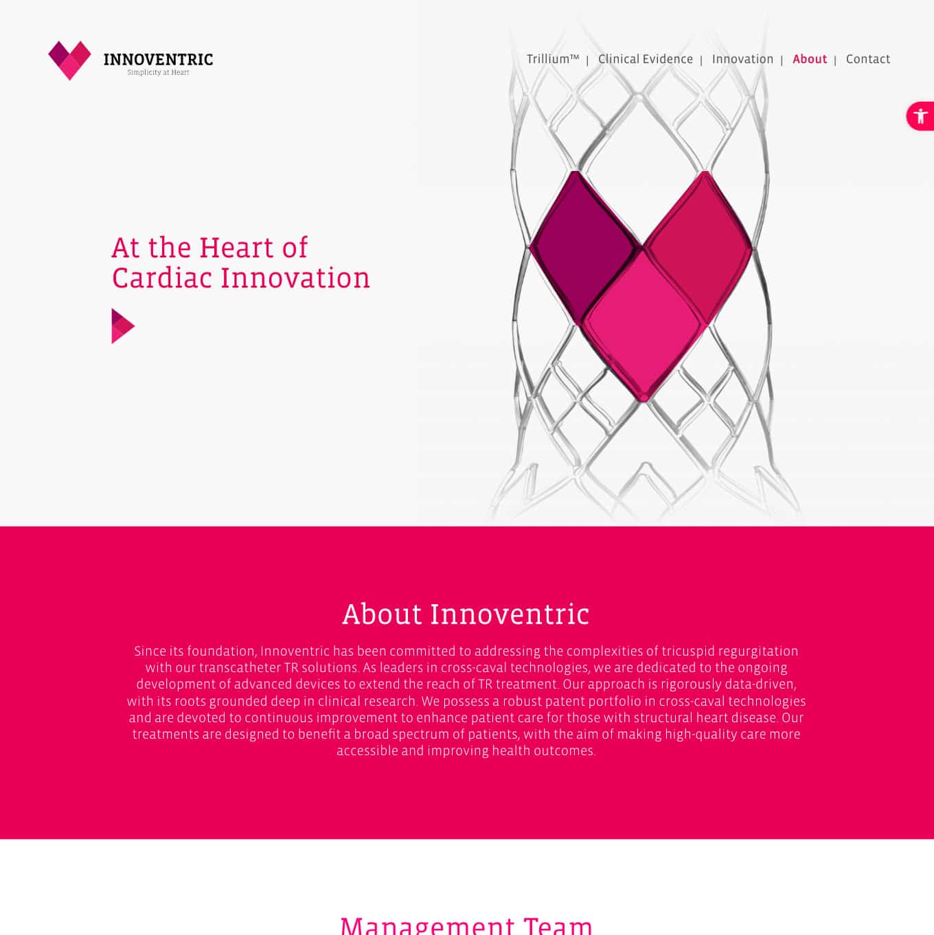 Innoventric — project view 10