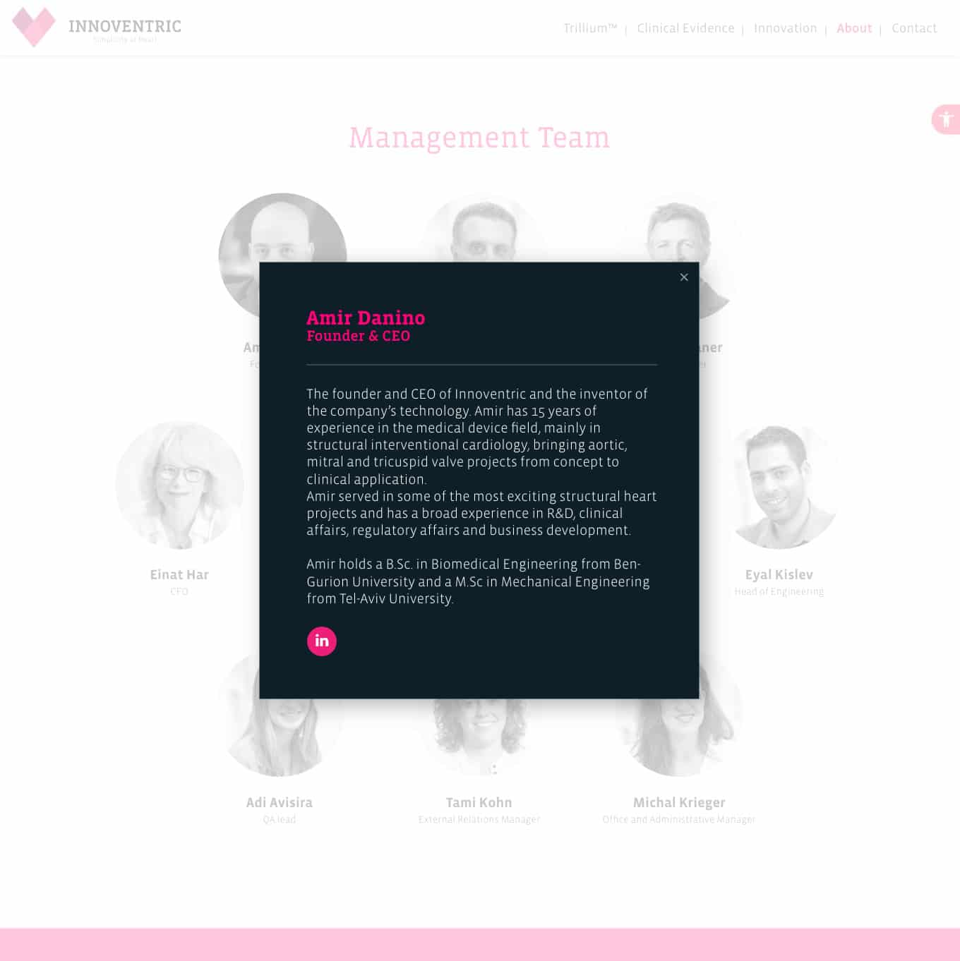 Innoventric — project view 13