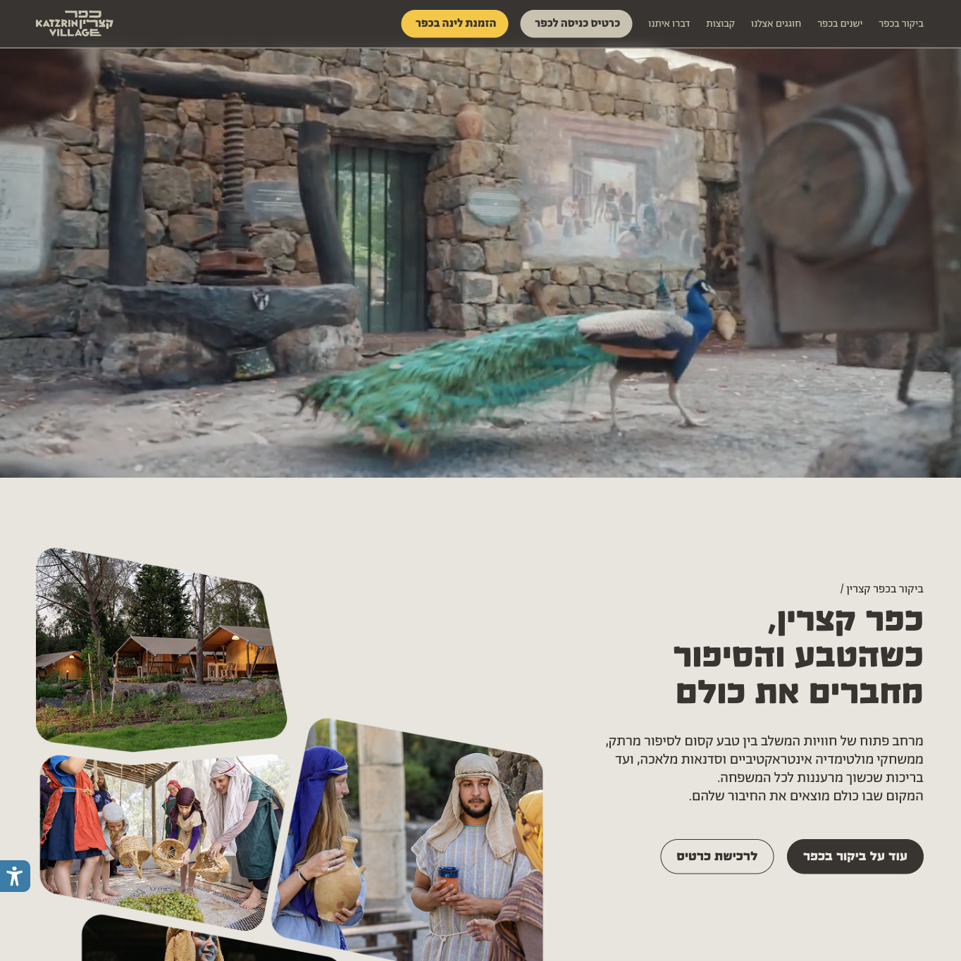 Kfar Katrzrin — project view 1