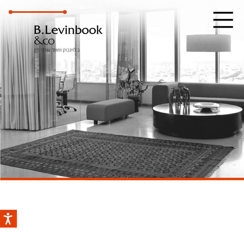 B. Levinbook & Co. — website preview