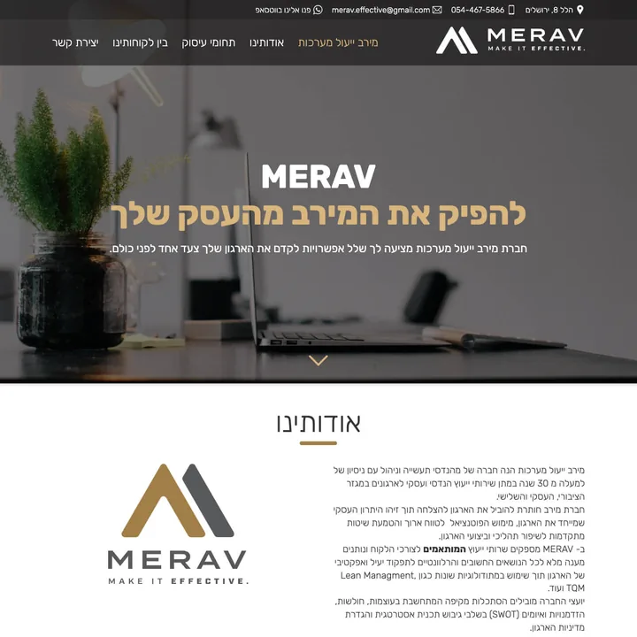 Merav Systems — website preview