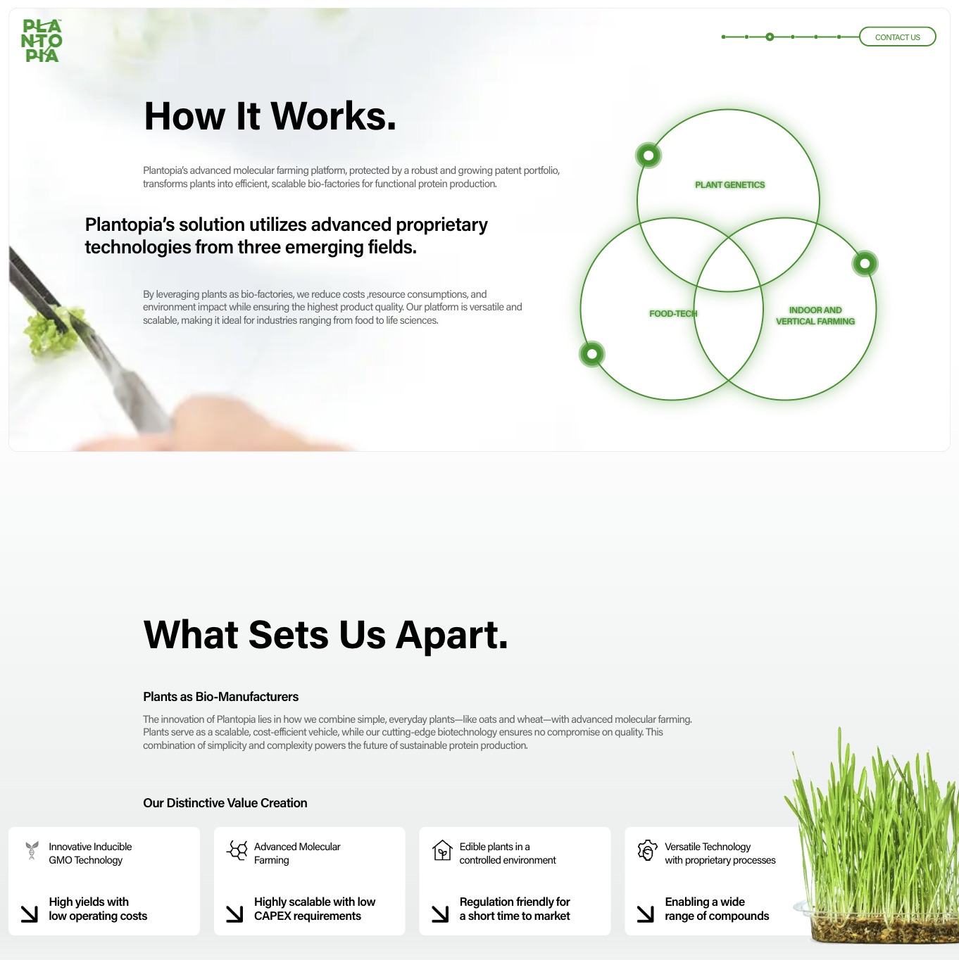 Plantopia — website preview