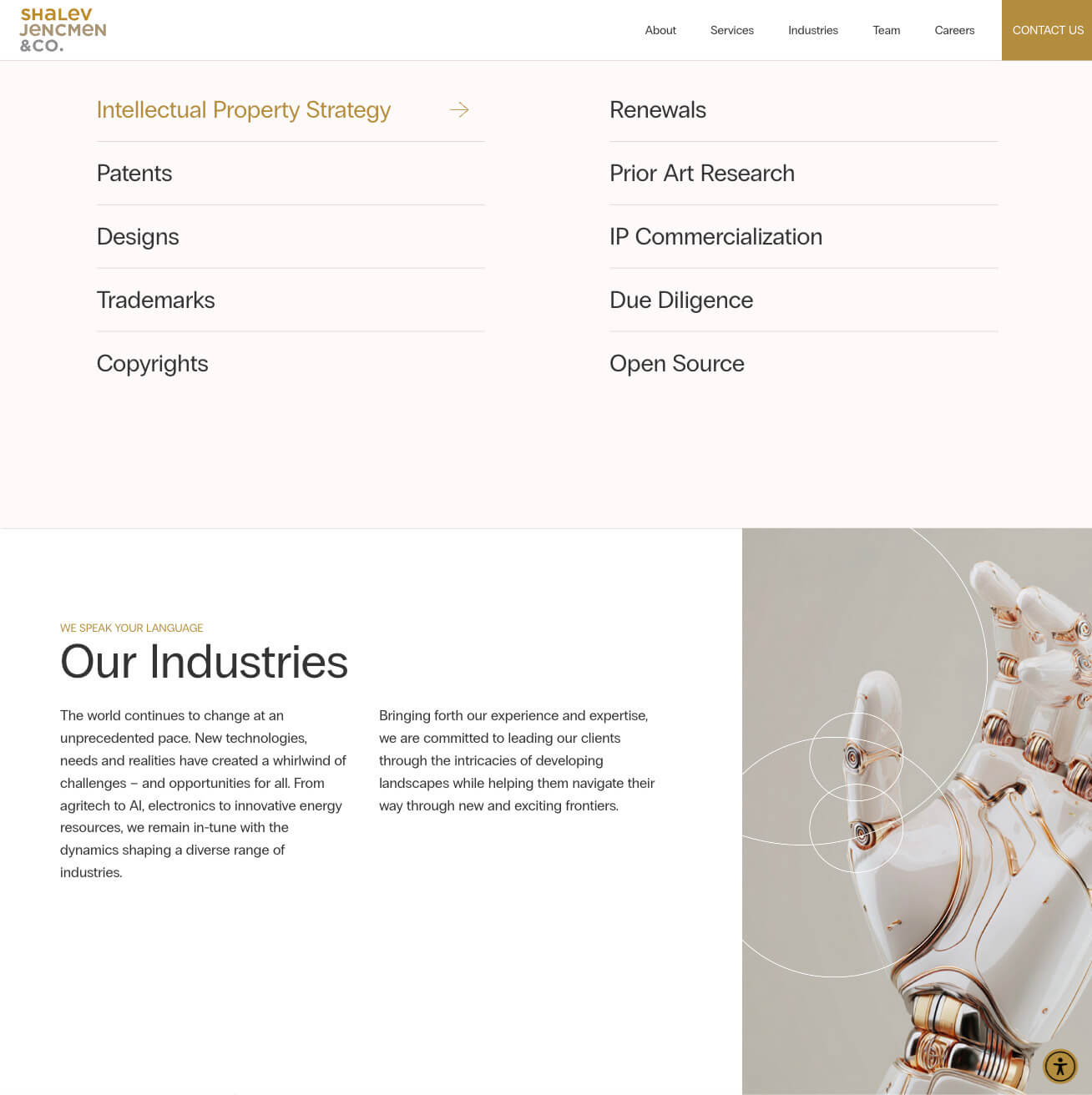 Shalev Jencmen & Co. — project view 4