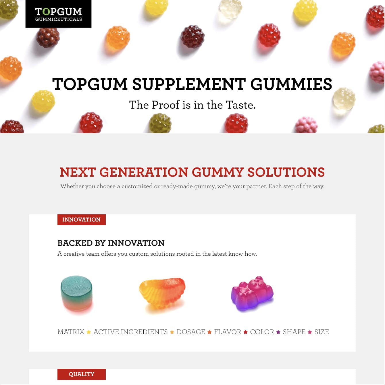 TopGum in a Nutshell — website preview