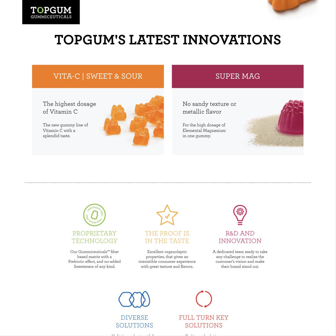 TopGum in a Nutshell — project view 3