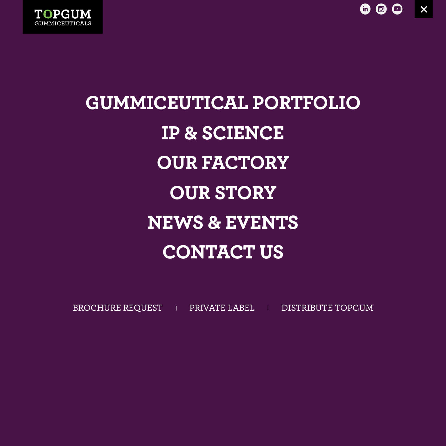 TopGum Gummiceuticals — project view 5