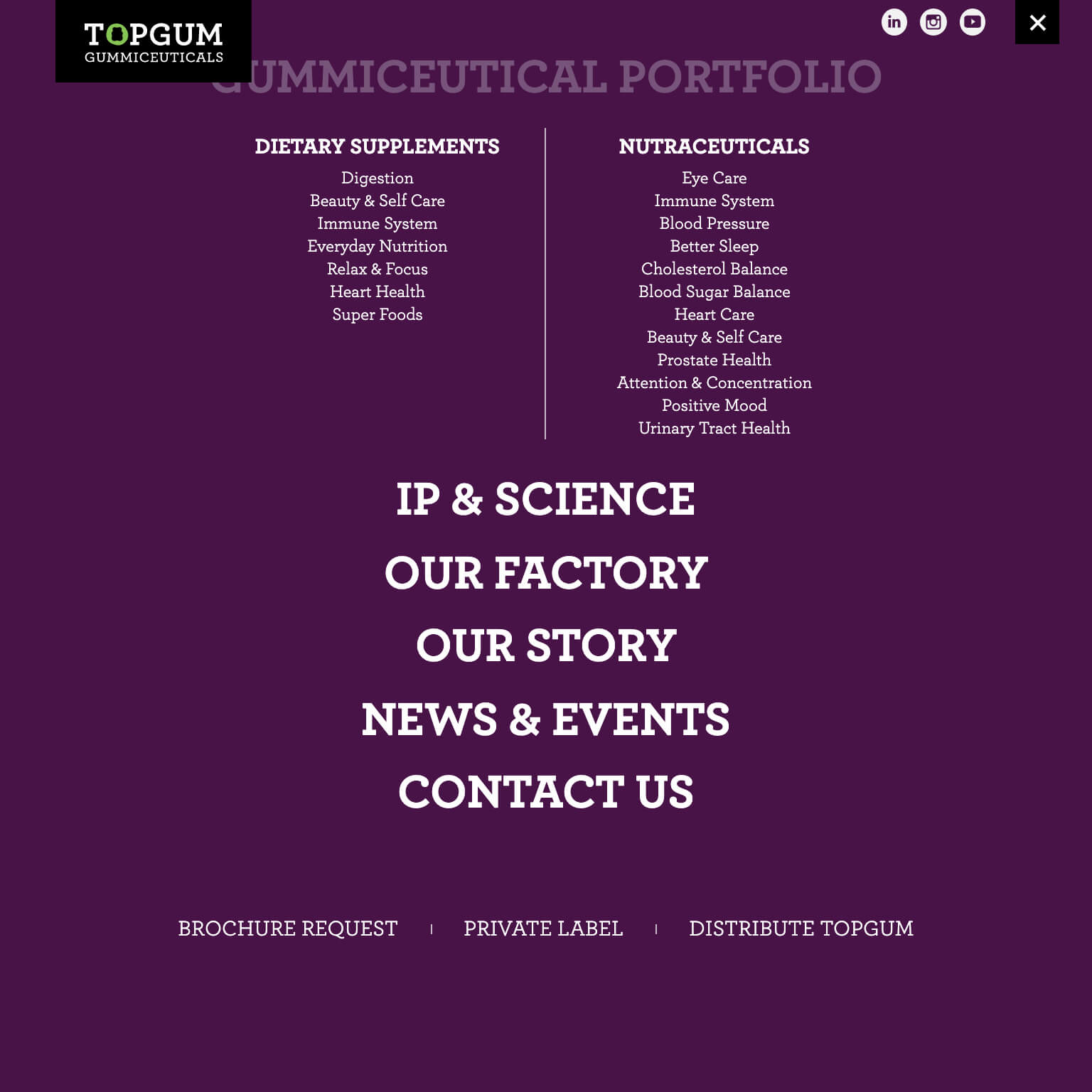 TopGum Gummiceuticals — project view 6