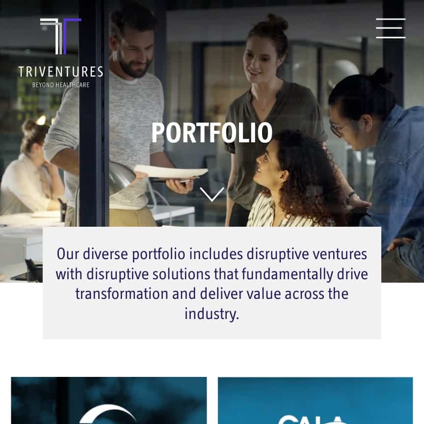 Triventures — project view 24