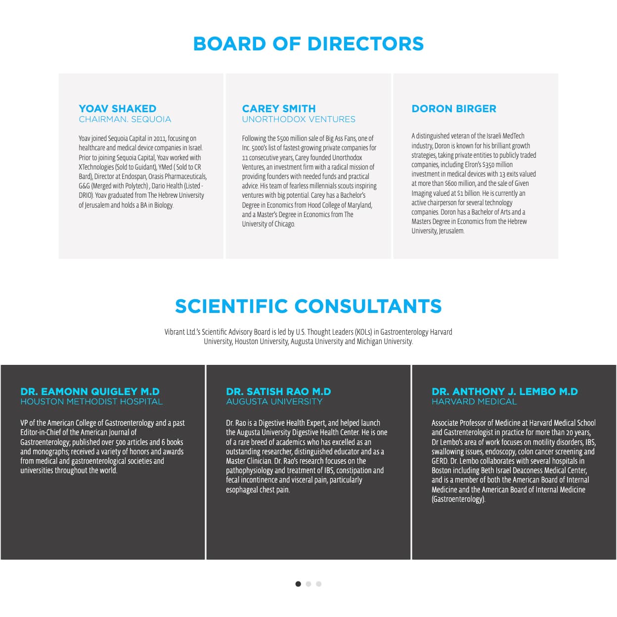 Vibrant — project view 6